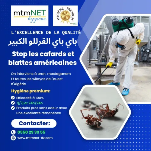 Service d'extermination des cafards à ain témouchent 