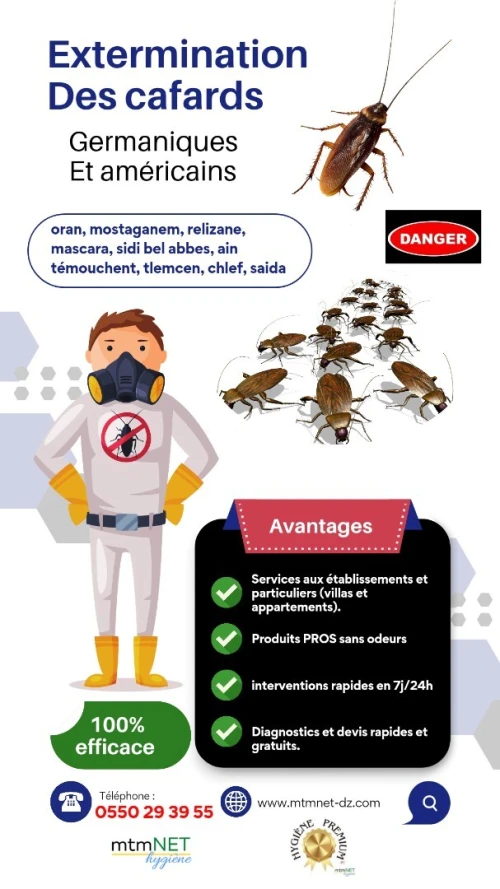 Entreprise de désinsectisation, dératisation et désinfection à alger