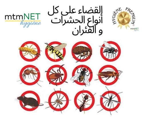 Extermination des mouches  القضاء على الذبان 