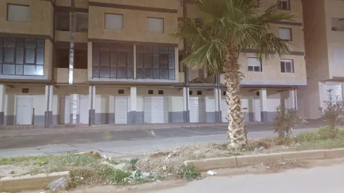 Location Saïda Saida