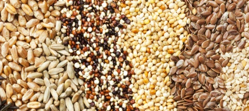 Anti INFLAMMATOIRES : Différents aliments et plantes médicinales.---مضادات الالتهاب: أطعمة ونباتات طبية متنوعة.