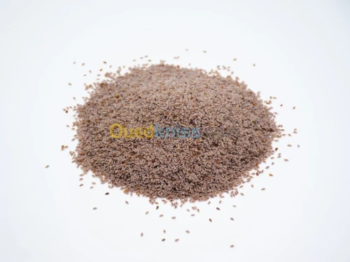 PSYLLIUM blond (et brun) téguments et poudre --- بسيليوم, قطونة