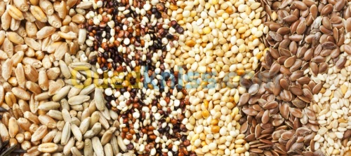 BIO : divers produits.  عضوي: منتوجات عضوية متعددة