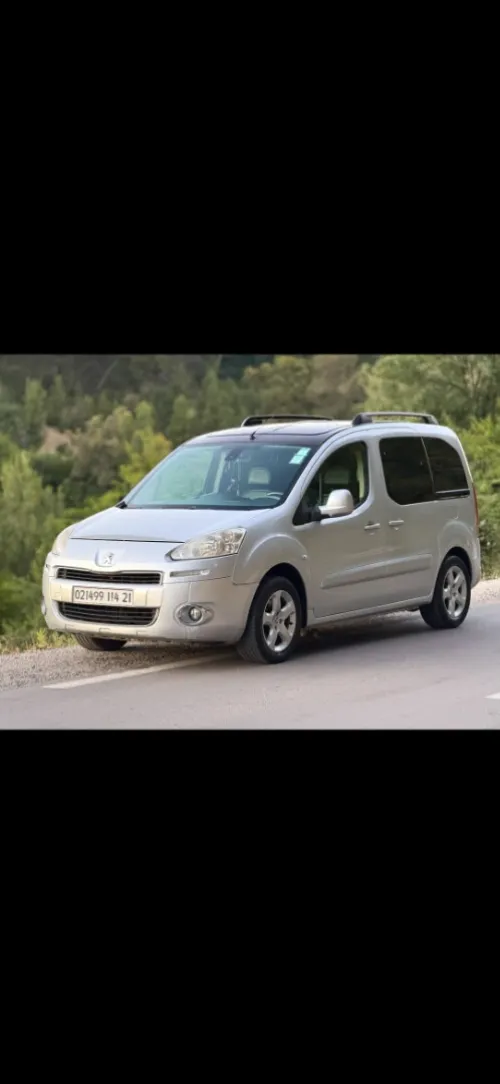 Peugeot Partner 2014 Tepee