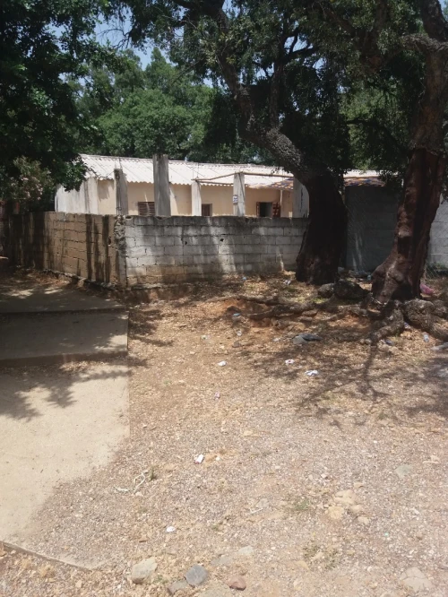 Location Bungalow Skikda Collo