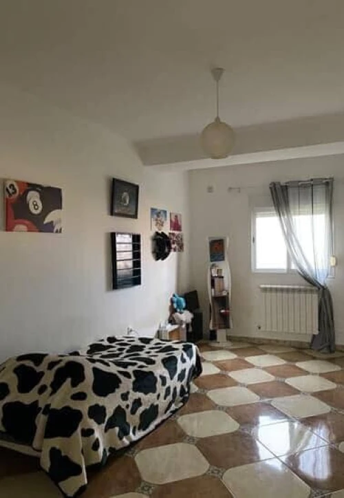Vente Appartement F5 Alger Bouzareah