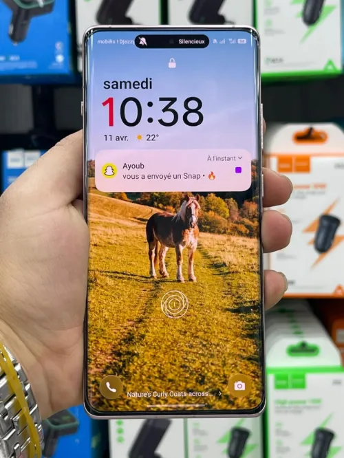 One plus 12R