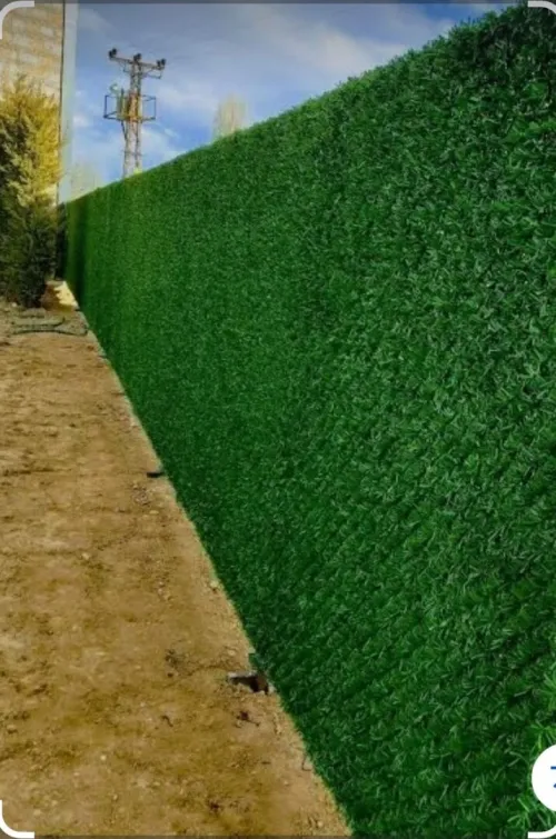 Gazon mural grillage gazon