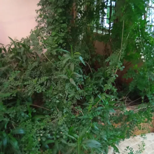 Location Villa Mostaganem Mostaganem