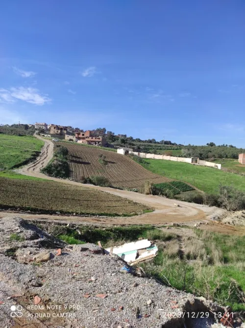 Vente Terrain Boumerdès Larbatache