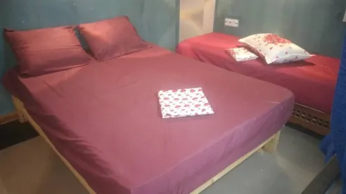 Location Appartement Studio Mostaganem Mostaganem