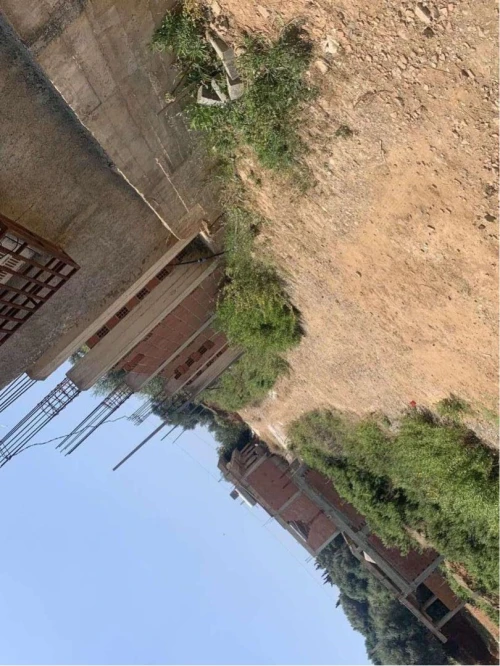 Vente Terrain Blida Meftah