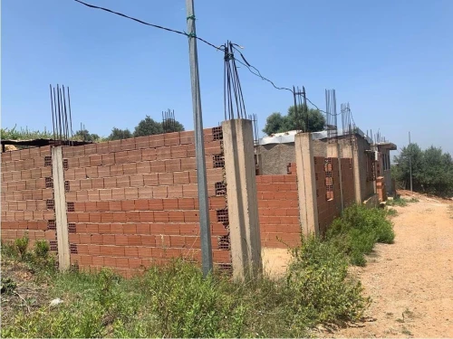 Vente Terrain Blida Meftah