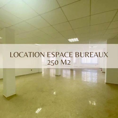 Location Local Alger Hydra