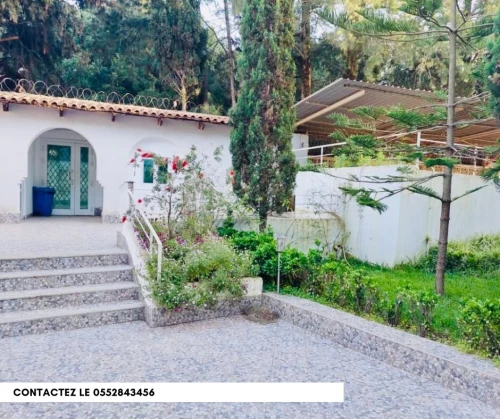 Location Immeuble Alger Hydra