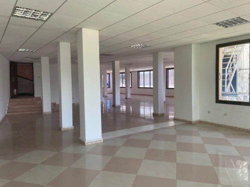 Location Local Alger Hydra