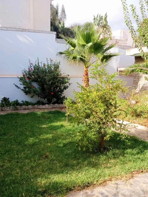 Location Niveau De Villa F4 Alger Hydra