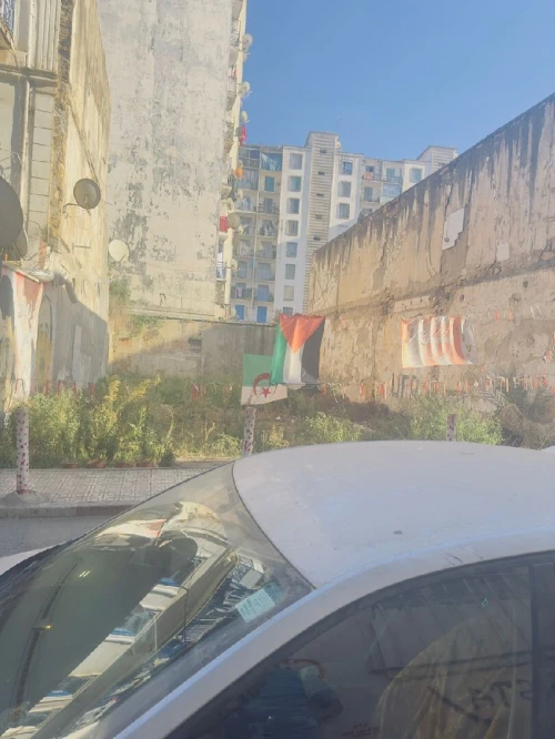 Vente Terrain Alger Belouizdad