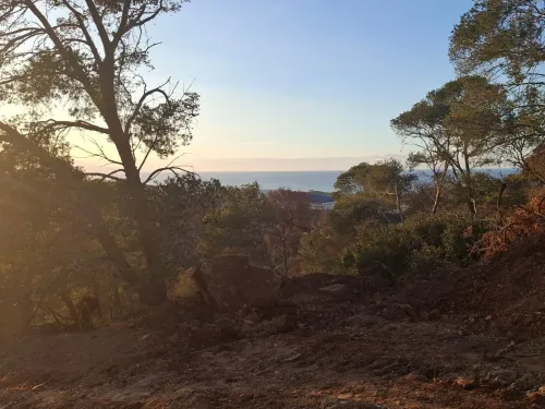 Vente Terrain Alger Zeralda