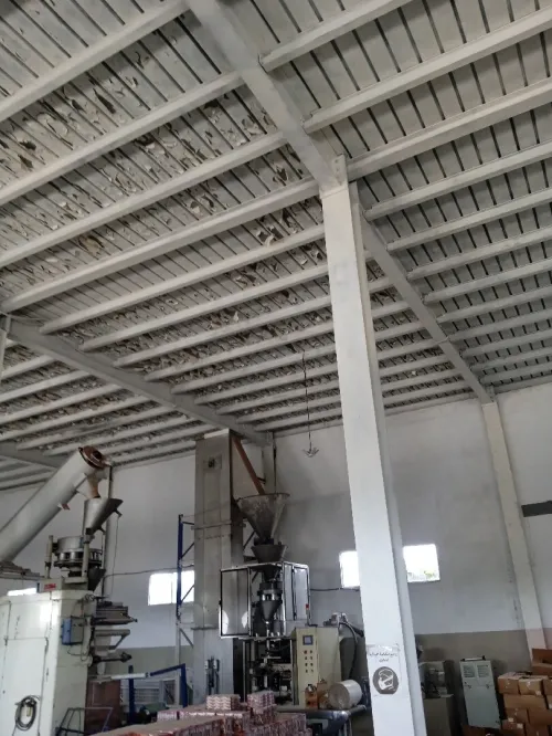 Location Hangar Alger Reghaia