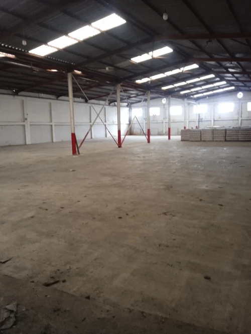 Location Hangar - Usine Alger Rouiba