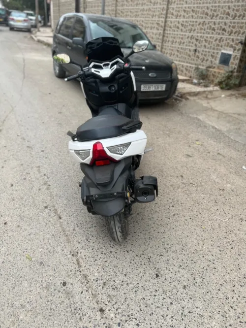Znen Forza 2018
