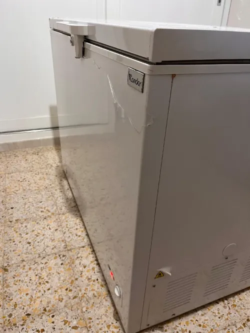 Frigo 