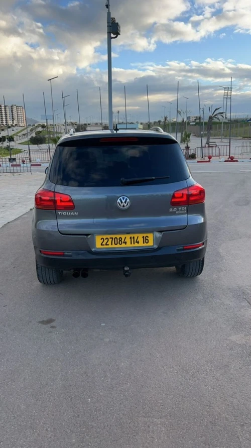 Volkswagen Tiguan 2014 Cup