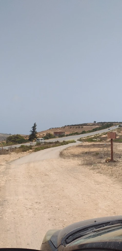 Vente Terrain Tlemcen Marsa ben mhidi