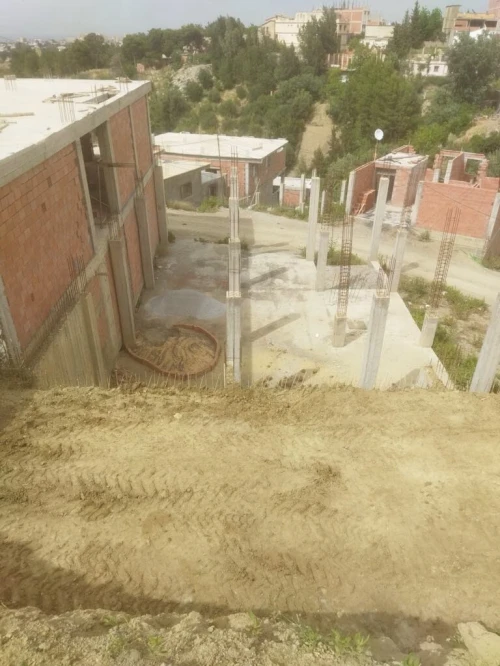 Vente Immeuble Blida Bouarfa