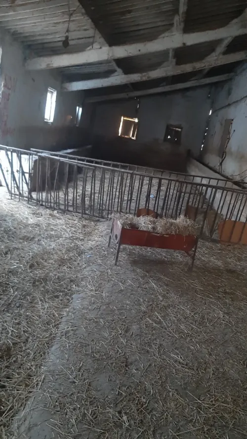 Location bien immobilier Constantine Constantine