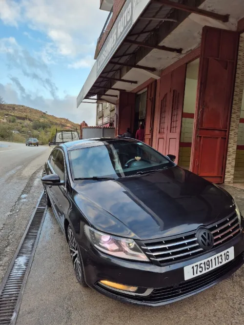 Volkswagen Passat CC 2013 Passat CC