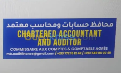 Chartered Accountant and Auditor - Accounting, Audit, Training and Consulting Services