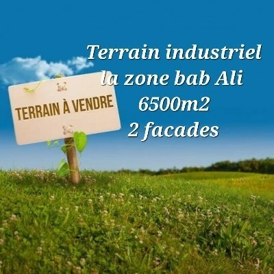 Vente Terrain Alger Birtouta