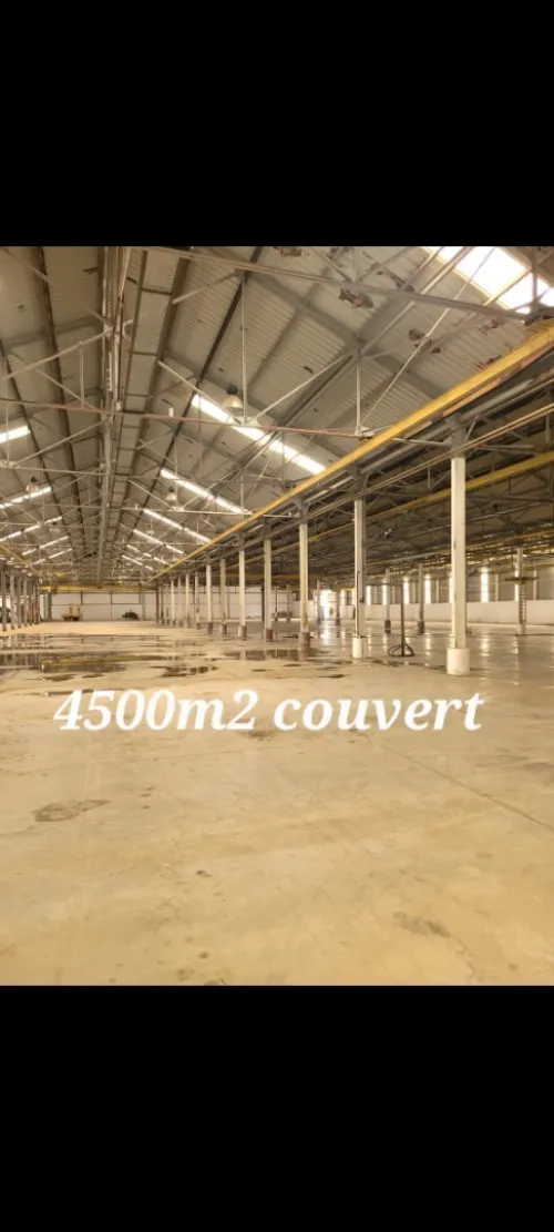 Location Hangar Alger Oued smar