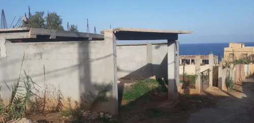 Vente Carcasse Tipaza Cherchell