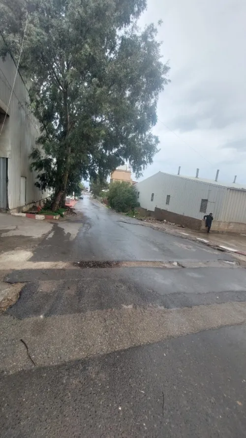 Vente Hangar - Usine Tipaza Bou ismail