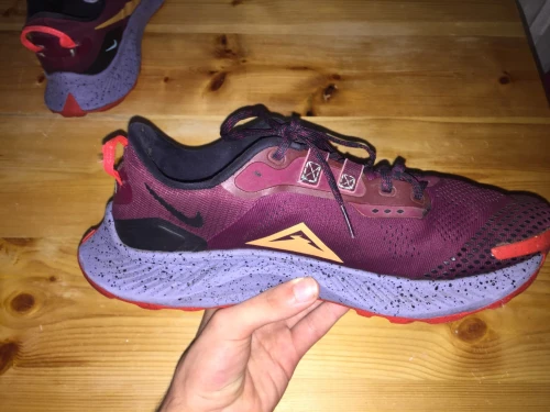 Nike Pegasus Trail 3