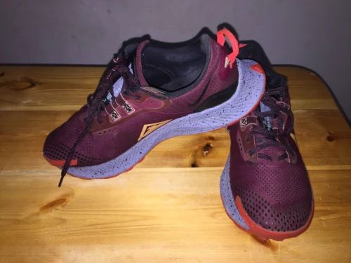 Nike Pegasus Trail 3
