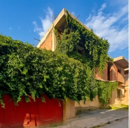 Vente Villa Médéa Berrouaghia