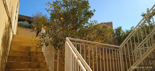 Vente Villa Tipaza Cherchell