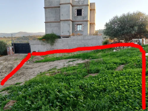 Vente Terrain Boumerdès Khemis el khechna