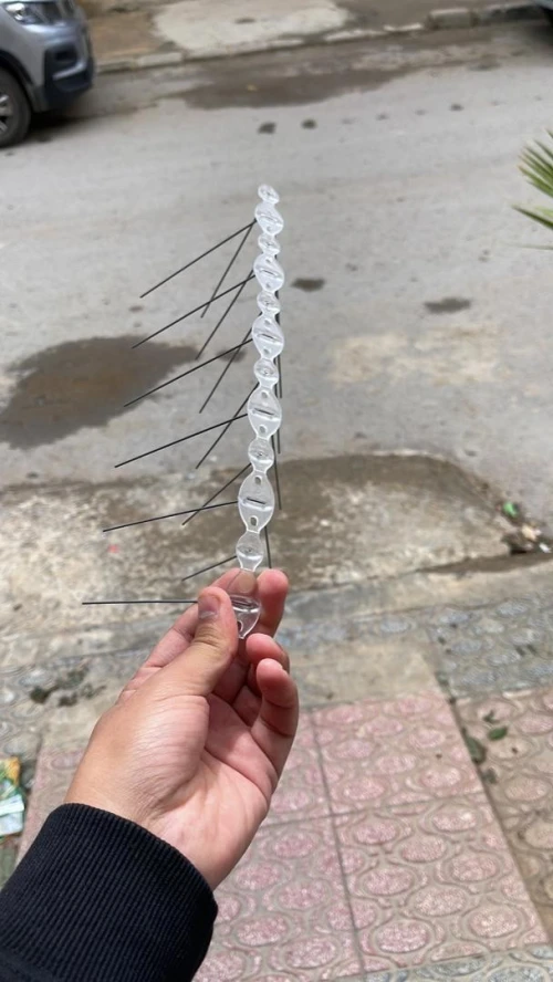 Pic anti pigeon solution pigeon , pigeon, الحمام , محافحة الحمام  