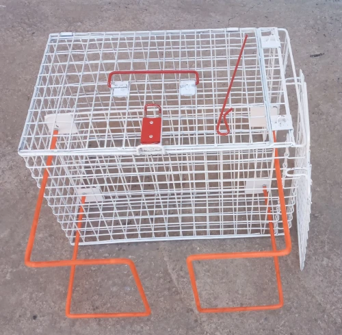cage de contention chat