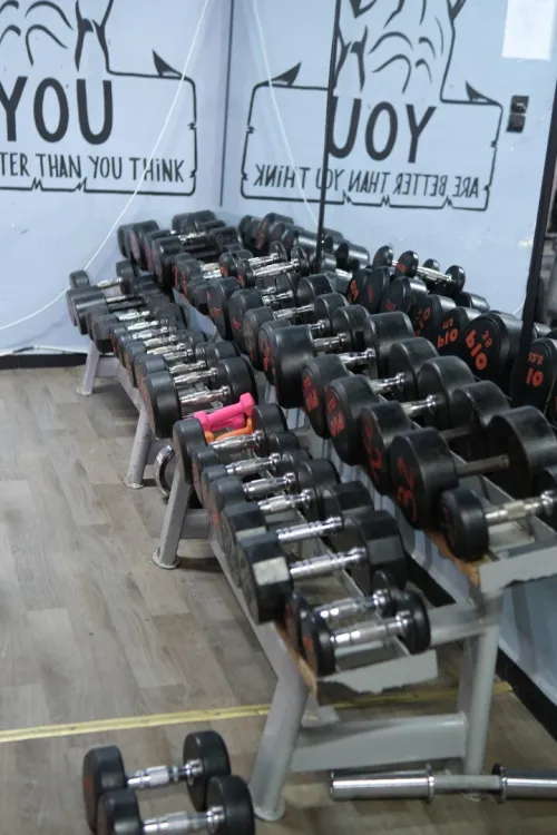 Matériel de musculation PRO AGES