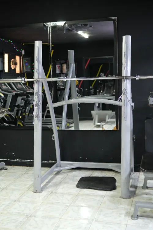 Matériel de musculation PRO AGES