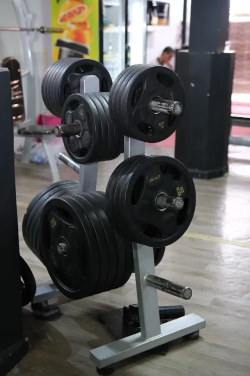 Matériel de musculation PRO AGES