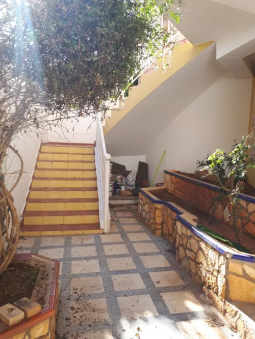 Vente Villa Alger Dely brahim