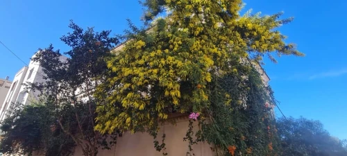 Vente Villa Tipaza Bou ismail