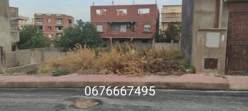 Vente Terrain Guelma Hammam maskhoutine